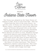 Load image into Gallery viewer, Indiana State Flower Map Vinyl Sticker