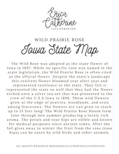 Load image into Gallery viewer, Iowa State Map Art Print