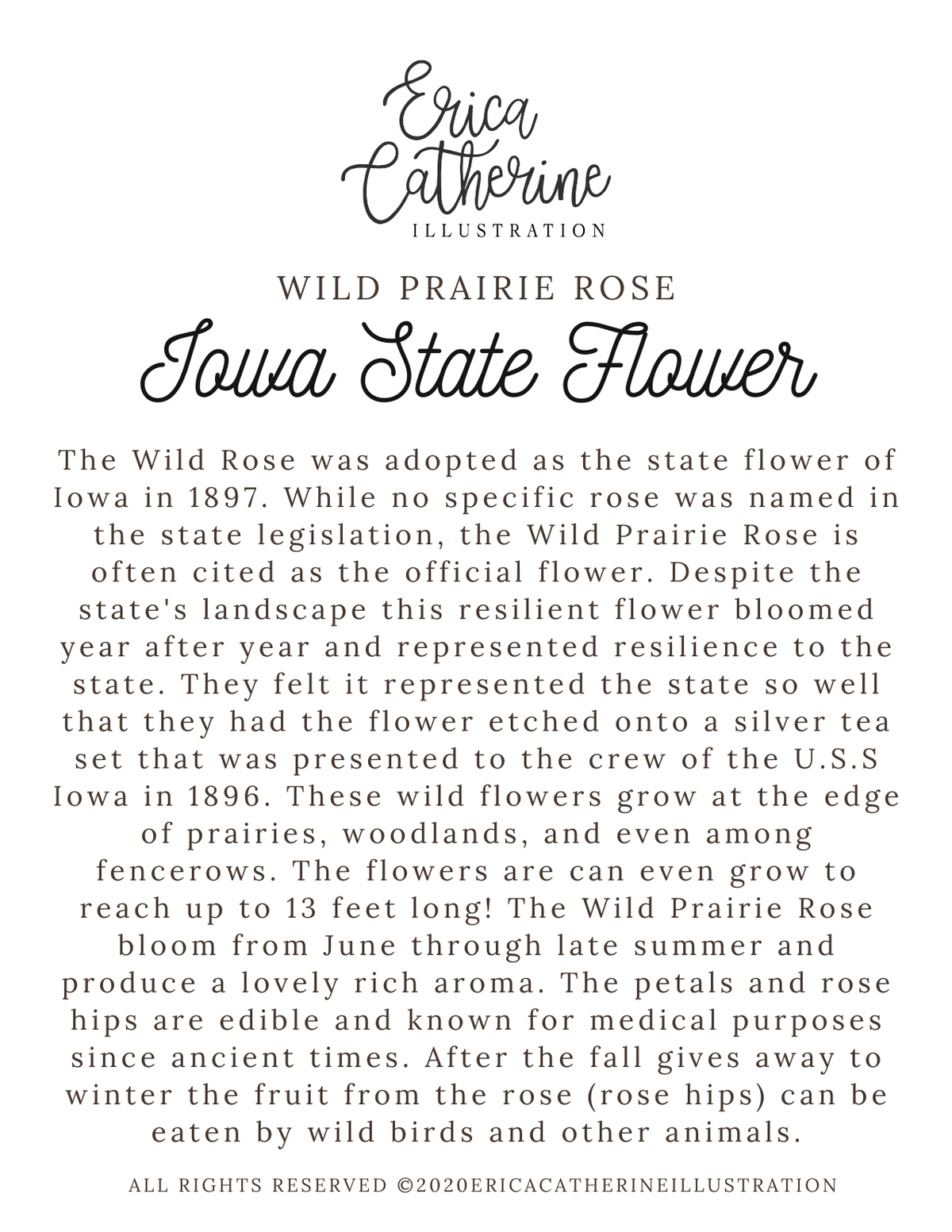 Iowa State Flower Map Vinyl Sticker