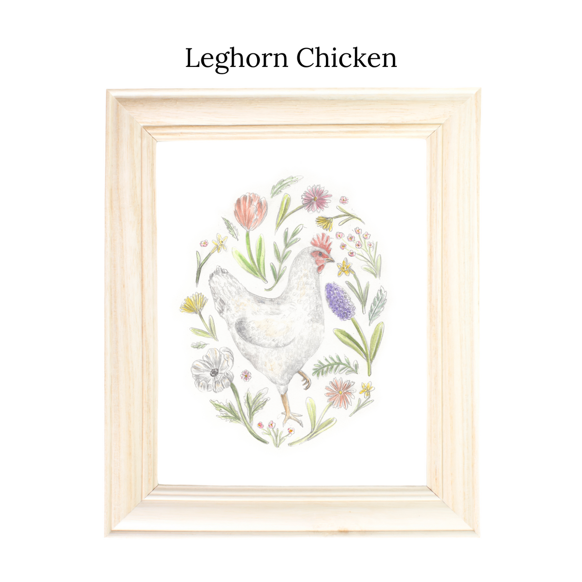 Backyard Chickens Print Series