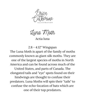 Load image into Gallery viewer, Luna Moth Art print