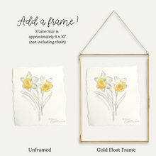 Load image into Gallery viewer, December Birth Flower - Narcissus Mini Original Drawing
