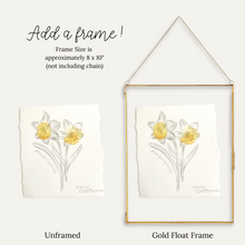 Load image into Gallery viewer, December Birth Flower - Narcissus Mini Original Drawing