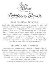 Load image into Gallery viewer, December Birth Flower - Narcissus Mini Original Drawing