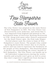 Load image into Gallery viewer, New Hampshire State Flower Map Vinyl Sticker