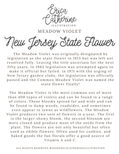 Load image into Gallery viewer, New Jersey State Flower Map Vinyl Sticker