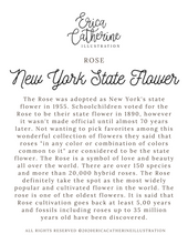 Load image into Gallery viewer, New York State Flower Map Vinyl Sticker