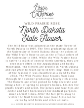 Load image into Gallery viewer, North Dakota State Flower Map Vinyl Sticker