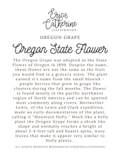 Load image into Gallery viewer, Oregon State Flower Map Vinyl Sticker