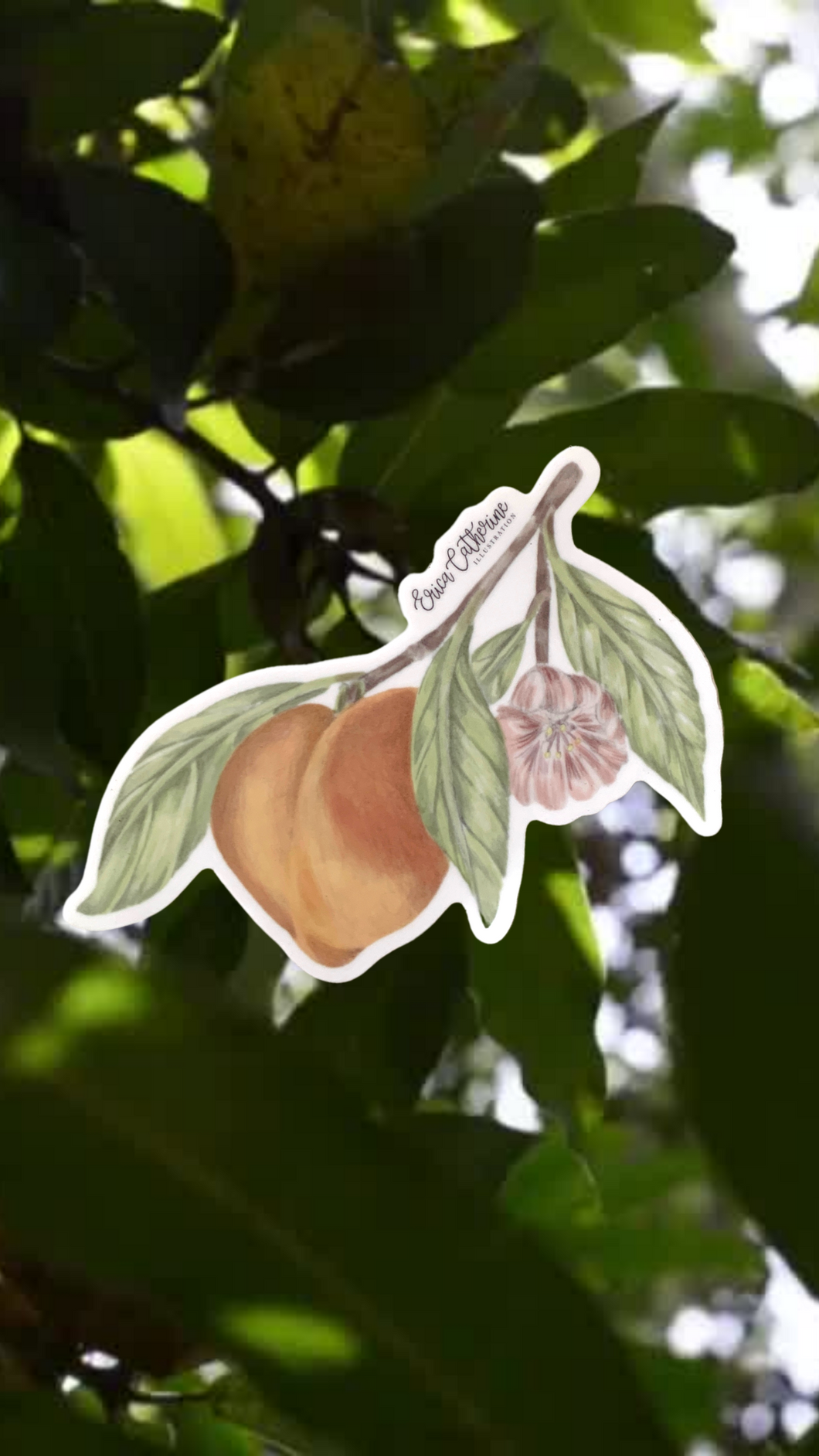 Peach Blossom Sticker