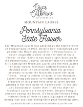 Load image into Gallery viewer, Pennsylvania State Flower Map Vinyl Sticker