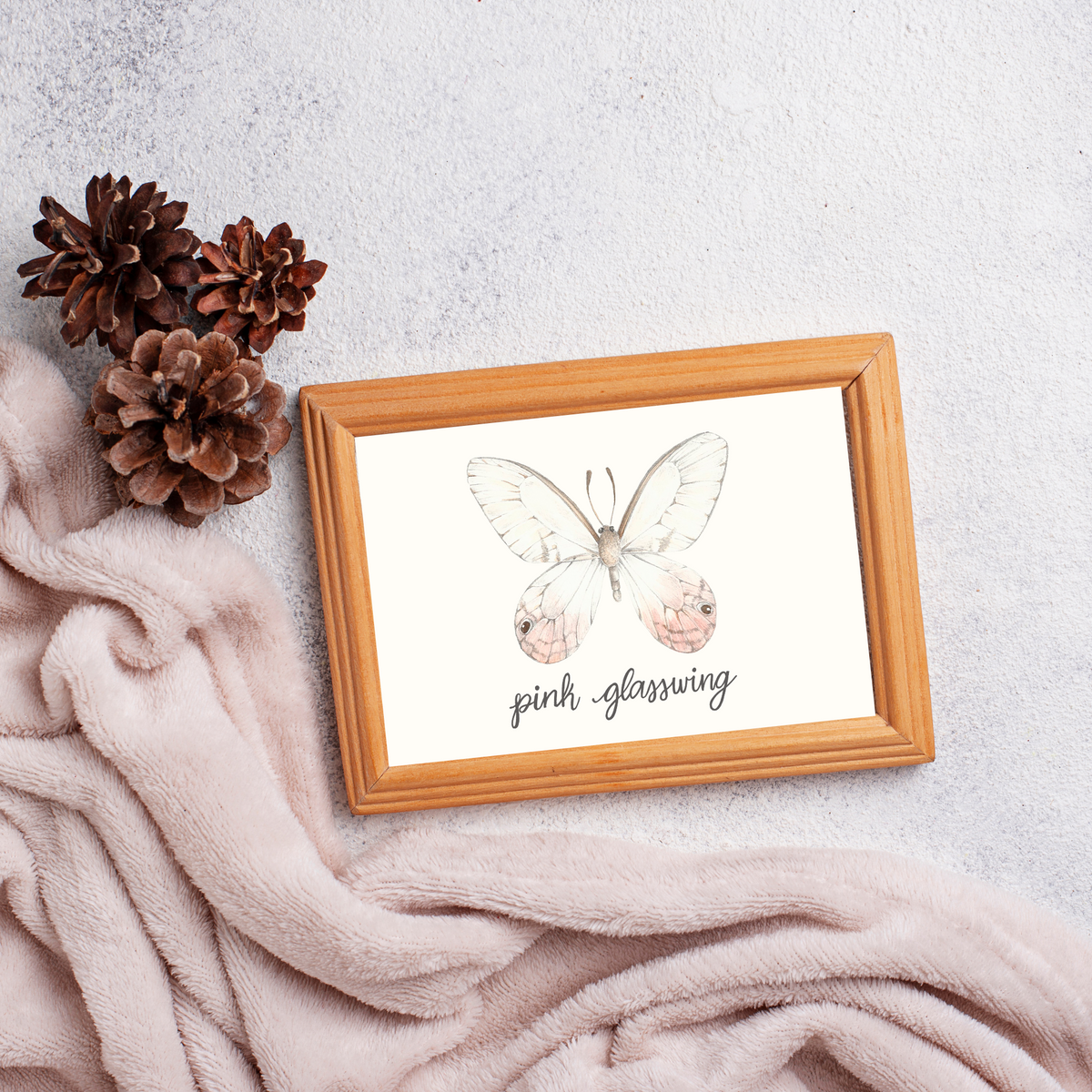 Pink Glasswing Butterfly Art Print