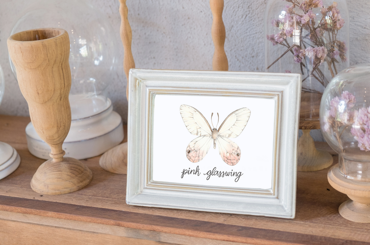 Pink Glasswing Butterfly Art Print