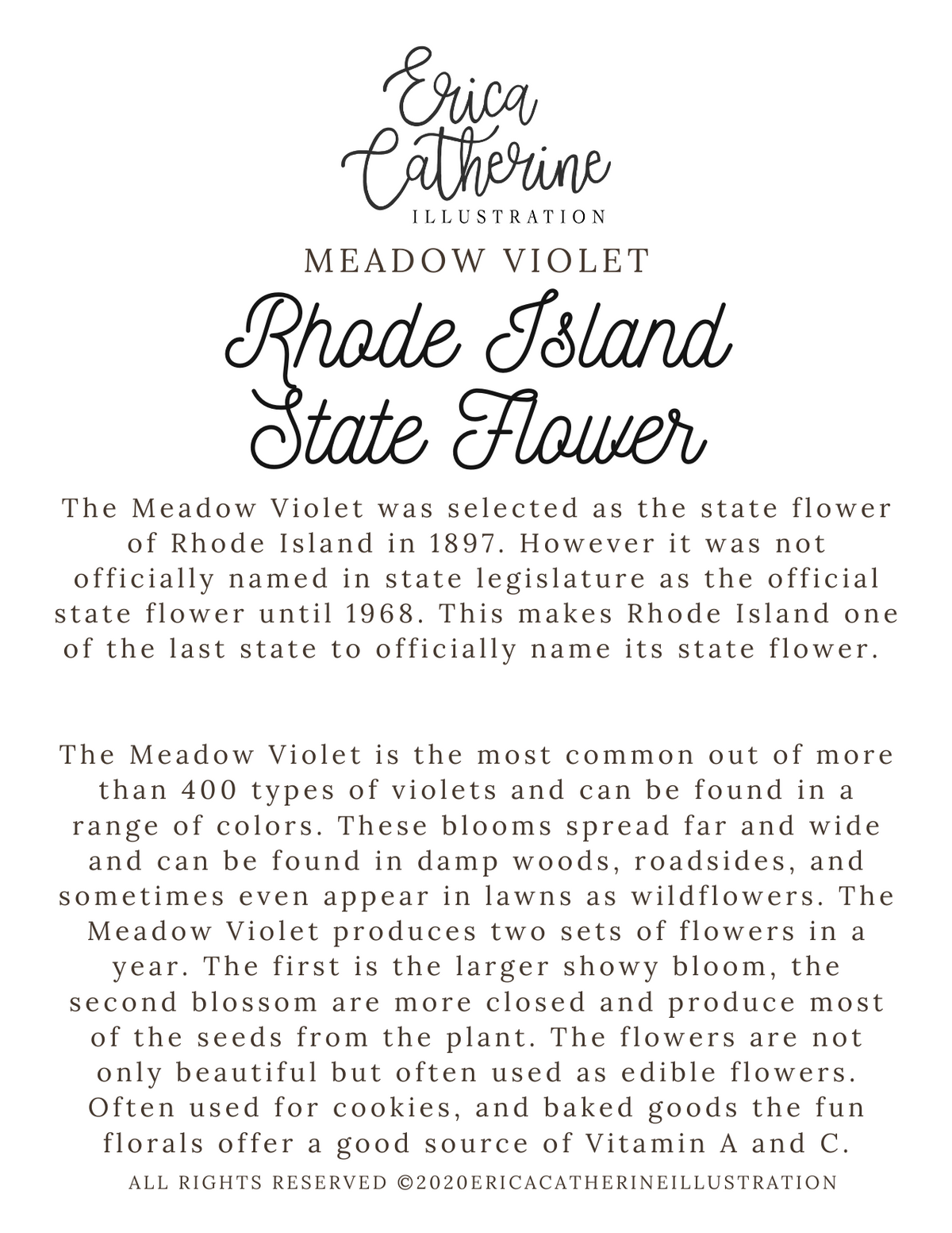 Rhode Island State Flower Map Vinyl Sticker