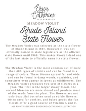 Load image into Gallery viewer, Rhode Island State Flower Map Vinyl Sticker