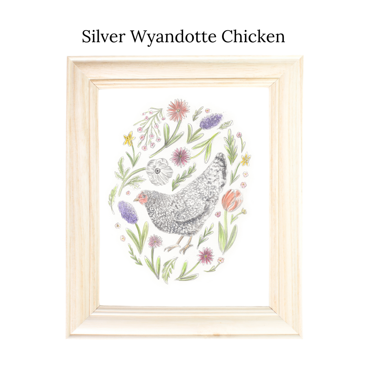 Backyard Chickens Print Series
