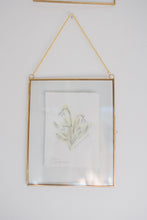 Load image into Gallery viewer, January Birth Flower - Snowdrop Mini Original Drawing