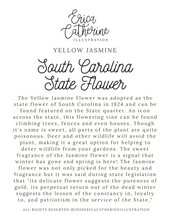 Load image into Gallery viewer, South Carolina State Flower Map Vinyl Sticker