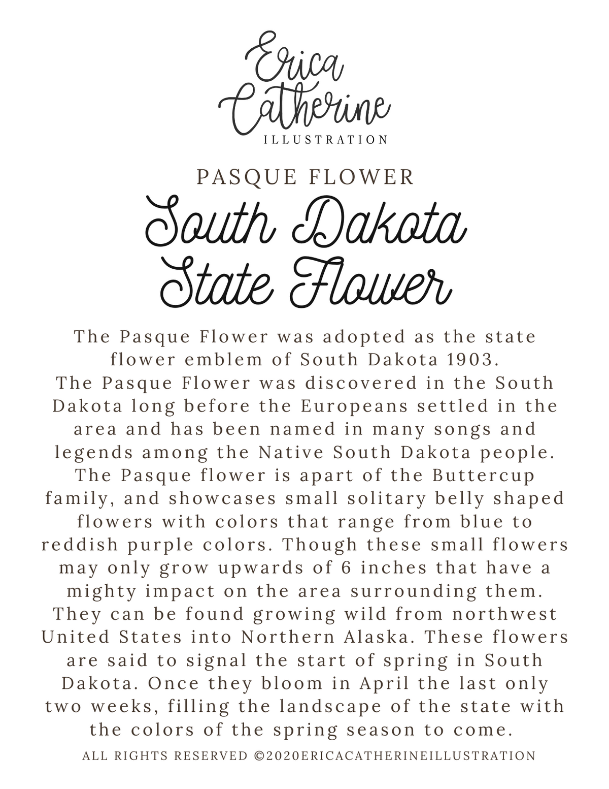 South Dakota State Flower Map Vinyl Sticker