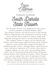 Load image into Gallery viewer, South Dakota State Flower Map Vinyl Sticker