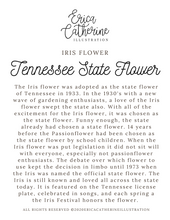 Load image into Gallery viewer, Tennessee State Flower Map Vinyl Sticker
