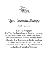 Load image into Gallery viewer, Tiger Swallowtail Butterfly Art Print