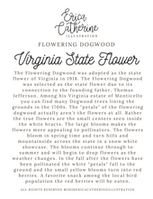 Load image into Gallery viewer, Virginia State Flower Map Vinyl Sticker