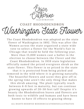 Load image into Gallery viewer, Washington State Flower Map Vinyl Sticker