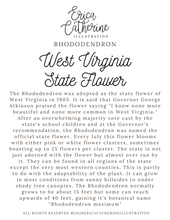 Load image into Gallery viewer, West Virginia State Flower Map Vinyl Sticker