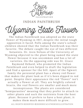 Load image into Gallery viewer, Wyoming State Flower Map Vinyl Sticker