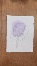 Load and play video in Gallery viewer, September Birth Flower - Morning Glory Mini Original Drawing
