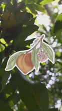 Load and play video in Gallery viewer, Peach Blossom Sticker
