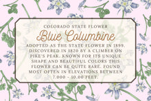 Load image into Gallery viewer, Blue Columbine Scarf - Colorado State Flower
