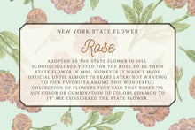 Load image into Gallery viewer, Rose Tea Towel