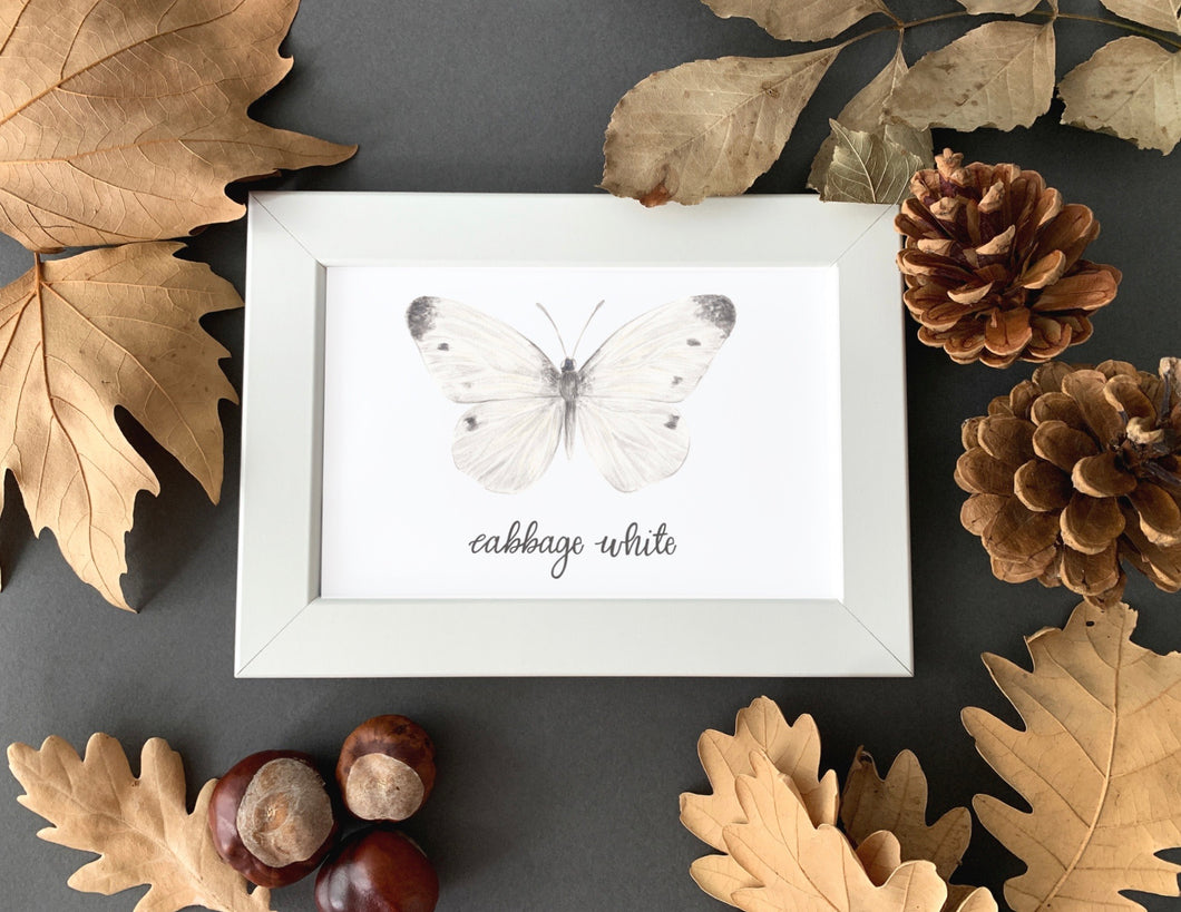 Cabbage White Butterfly Art Print