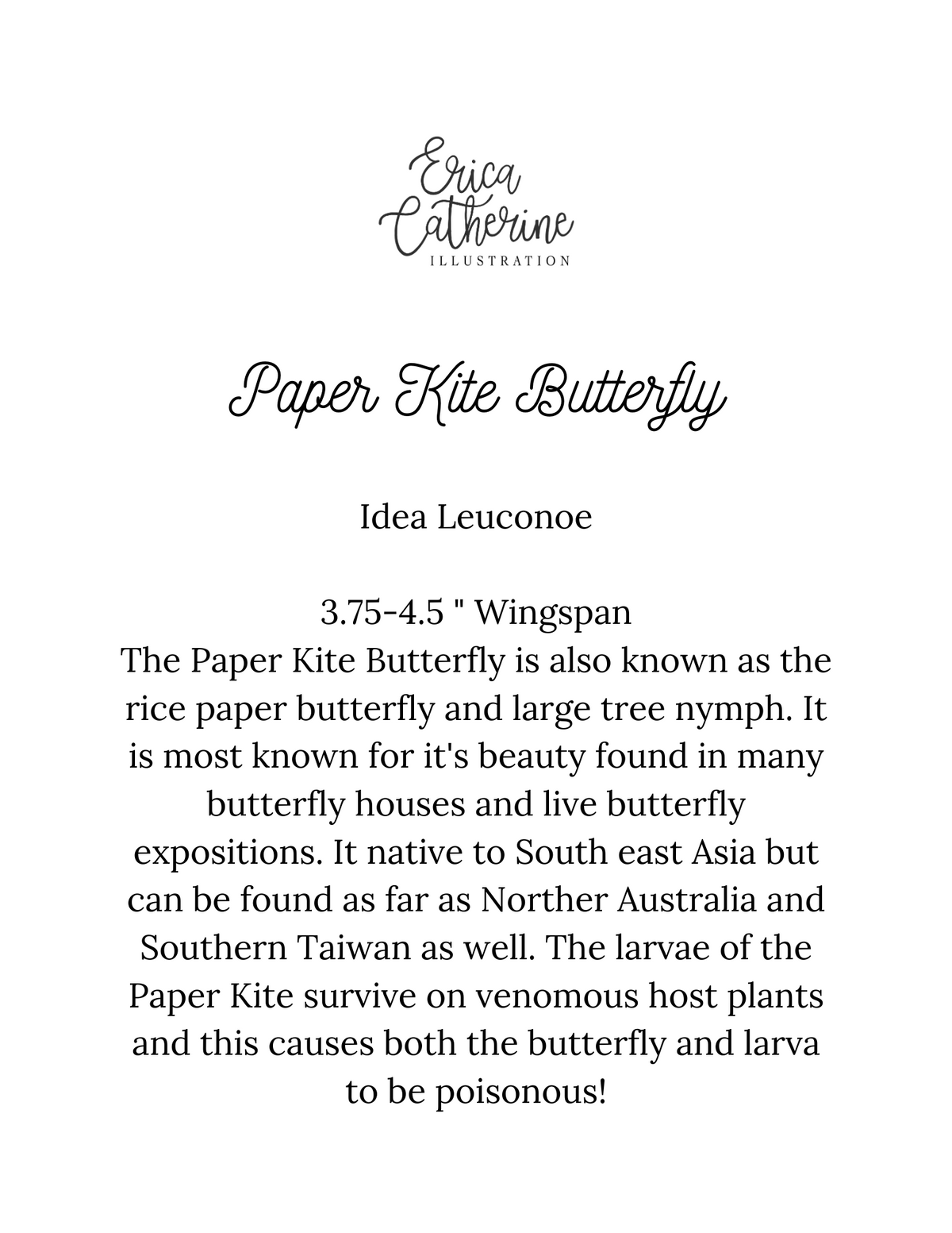 Paper Kite Butterfly Print