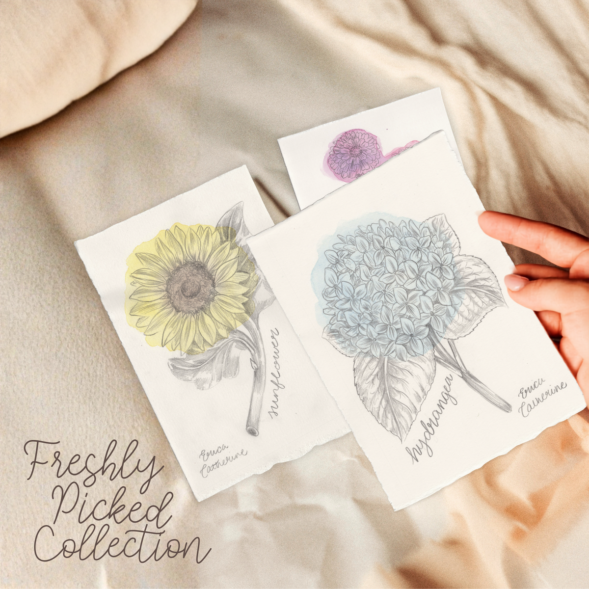 Freshly Picked Collection