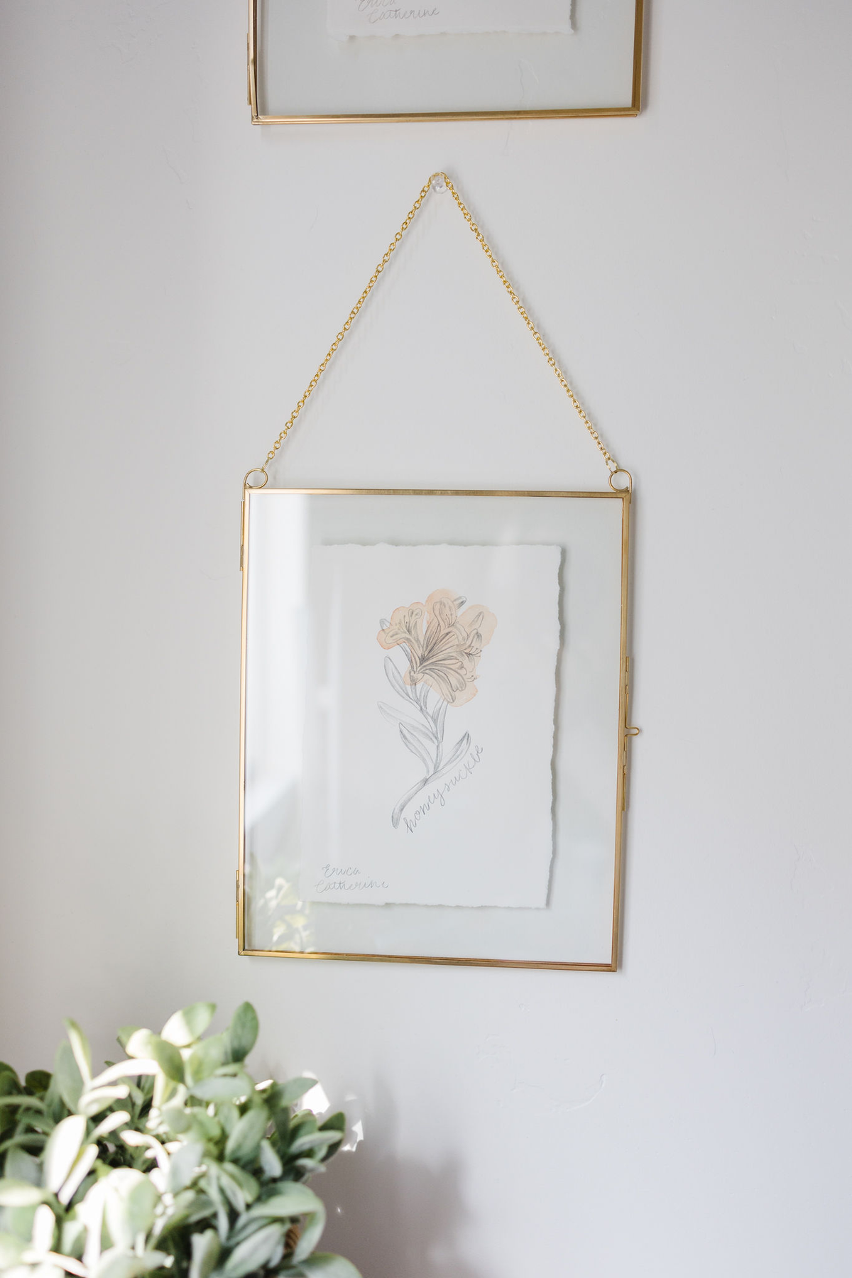 June Birth Flower the Honeysuckle drawing in a gold float frame hung on a wall.