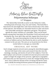 Load image into Gallery viewer, Adonis Blue Betterfly Original Artwork
