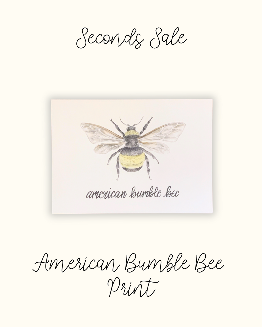 American Bumble Bee 5x7