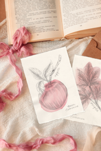 Load image into Gallery viewer, Two artworks featuring botanical illustrations of apples and maple leaves, styled on a beige fabric with a pink ribbon and an open book in the background.
