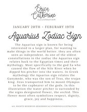 Load image into Gallery viewer, Aquarius Zodiac Sign - Seconds Sale
