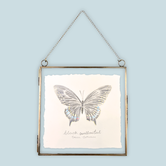 Black Swallowtail Original Artwork