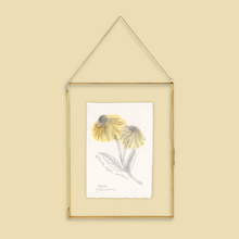 Load image into Gallery viewer, A framed botanical art print featuring two yellow Black Eyed Susan Flowers with leaves, hanging in a thin gold frame against a solid beige background.
