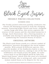 Load image into Gallery viewer, A text-based info graphic for Erica Catherine Illustration's Freshly Picked Collection Summer 2026, featuring the title 'Black Eyed Susan' with descriptive copy about the illustrated series and original artwork.
