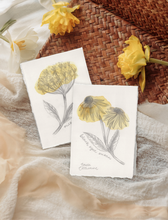 Load image into Gallery viewer, Two botanical art prints featuring a Black Eyed Susan and Milkweed, styled on a neutral fabric surface next to a woven basket and yellow flowers.
