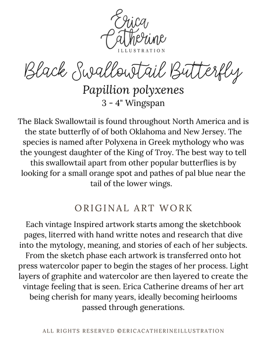 Black Swallowtail Original Artwork