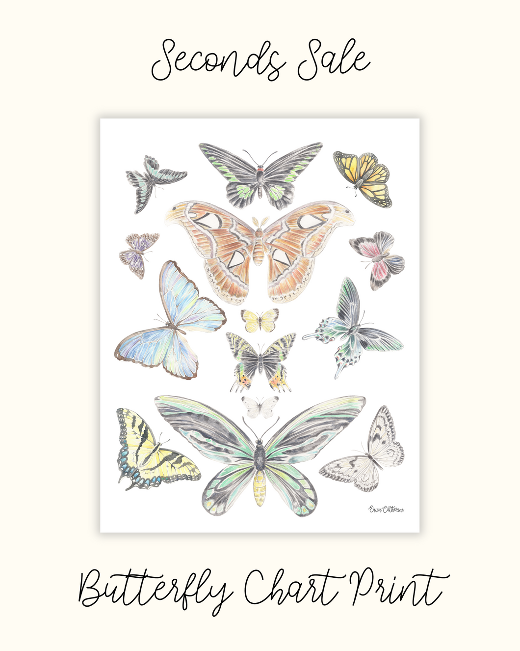 Butterflies Chart Print - Seconds Sale