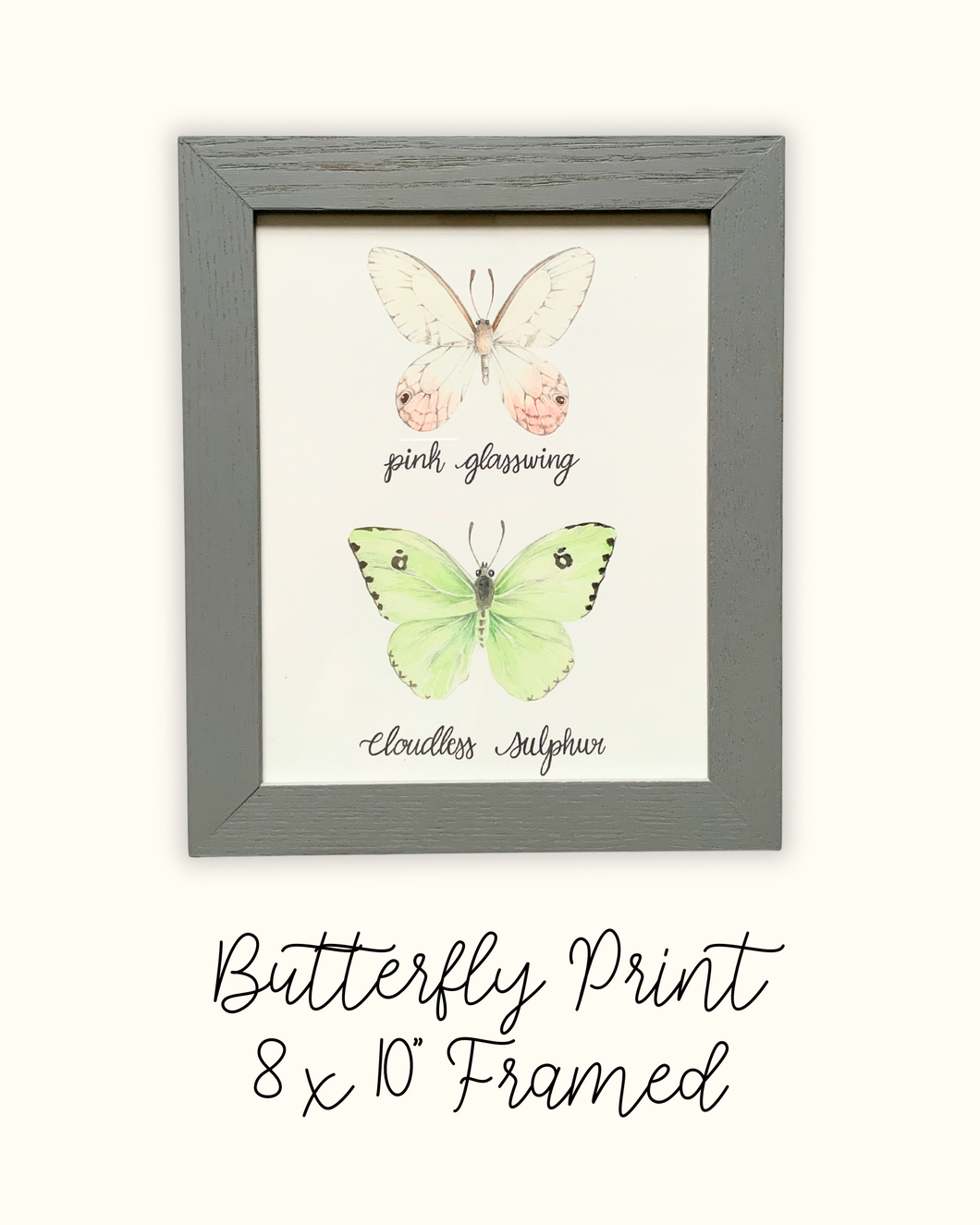Butterfly Print Framed - Seconds Sale