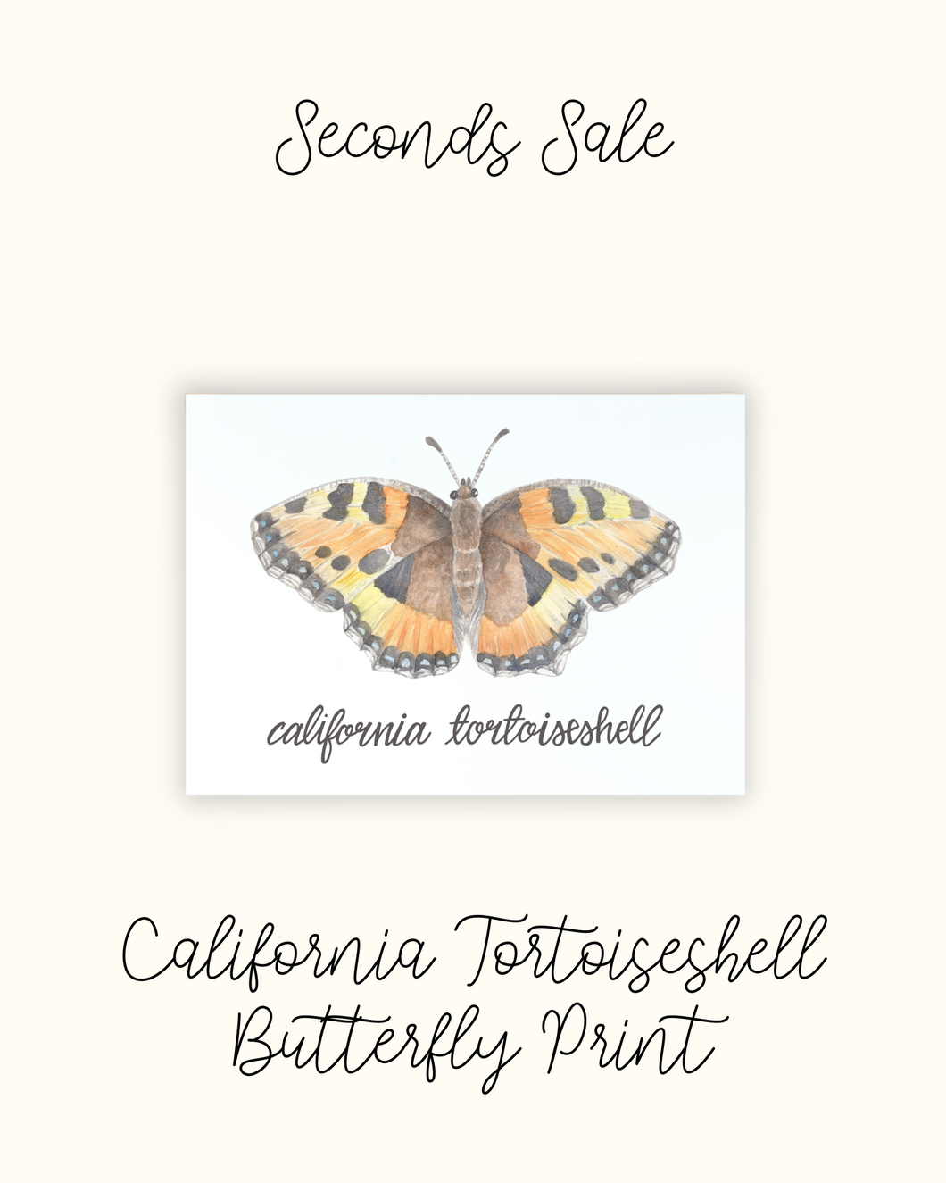 California Tortoiseshell Butterfly Print - Misprint